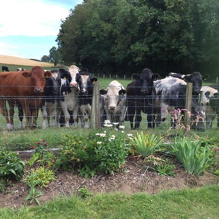 エアー Retreat At The Knowe Auchincruive Estate Bed & Breakfast エクステリア 写真
