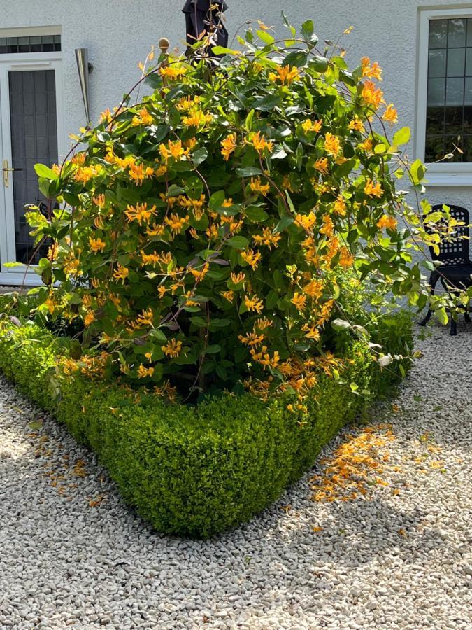 エアー Retreat At The Knowe Auchincruive Estate Bed & Breakfast エクステリア 写真
