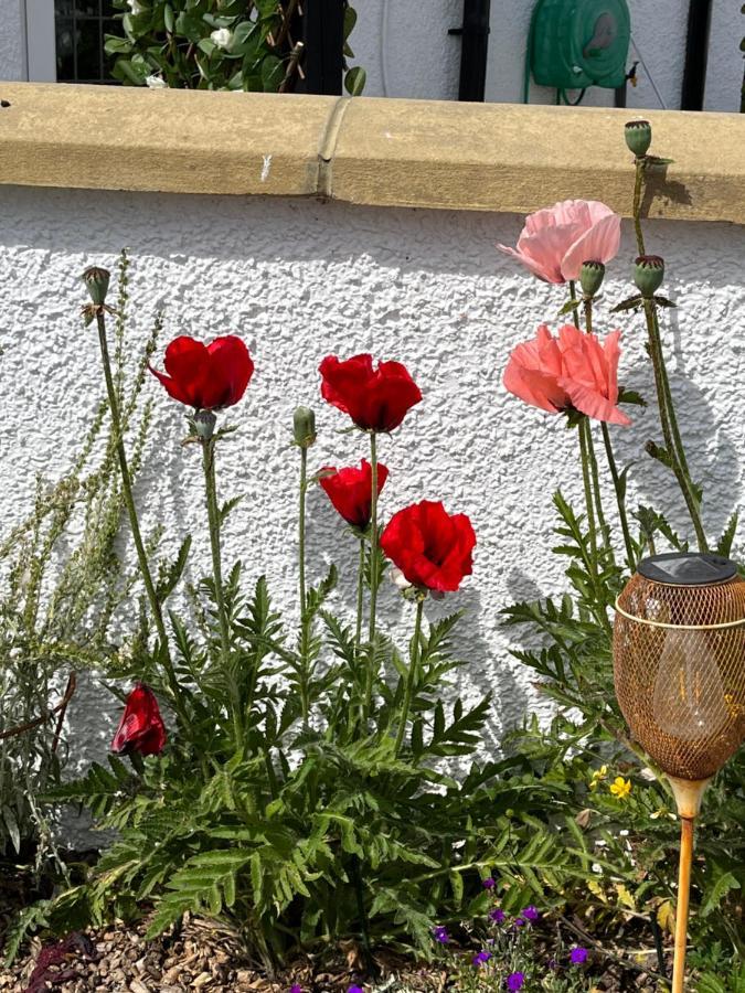 エアー Retreat At The Knowe Auchincruive Estate Bed & Breakfast エクステリア 写真