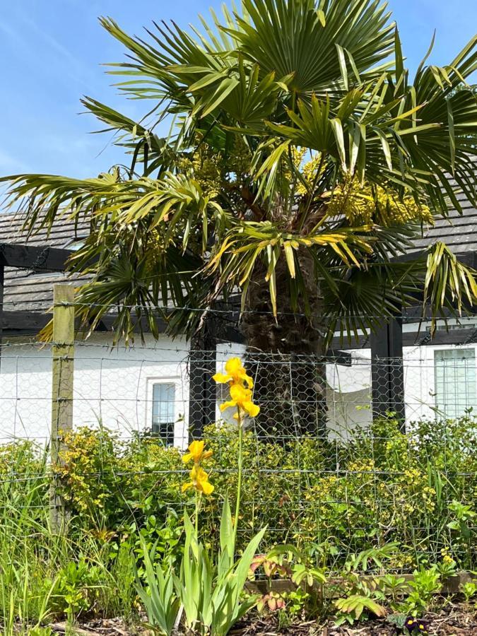 エアー Retreat At The Knowe Auchincruive Estate Bed & Breakfast エクステリア 写真