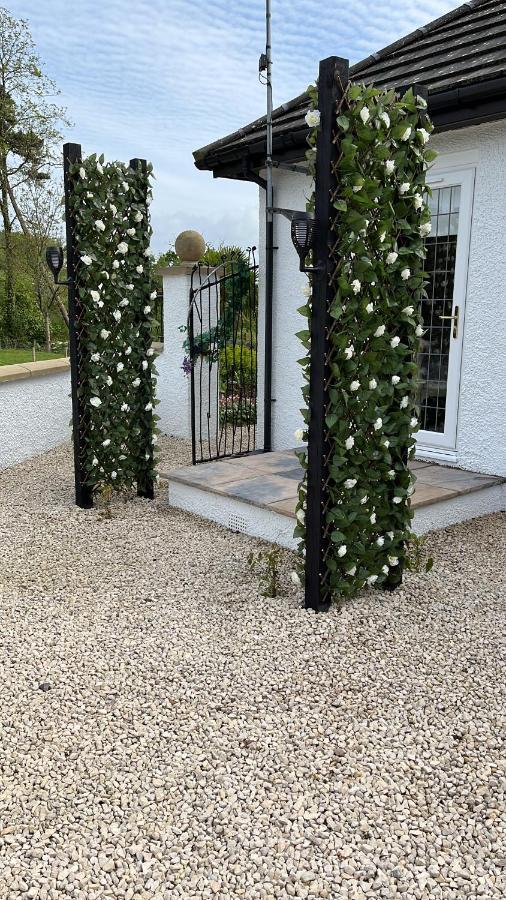 エアー Retreat At The Knowe Auchincruive Estate Bed & Breakfast エクステリア 写真