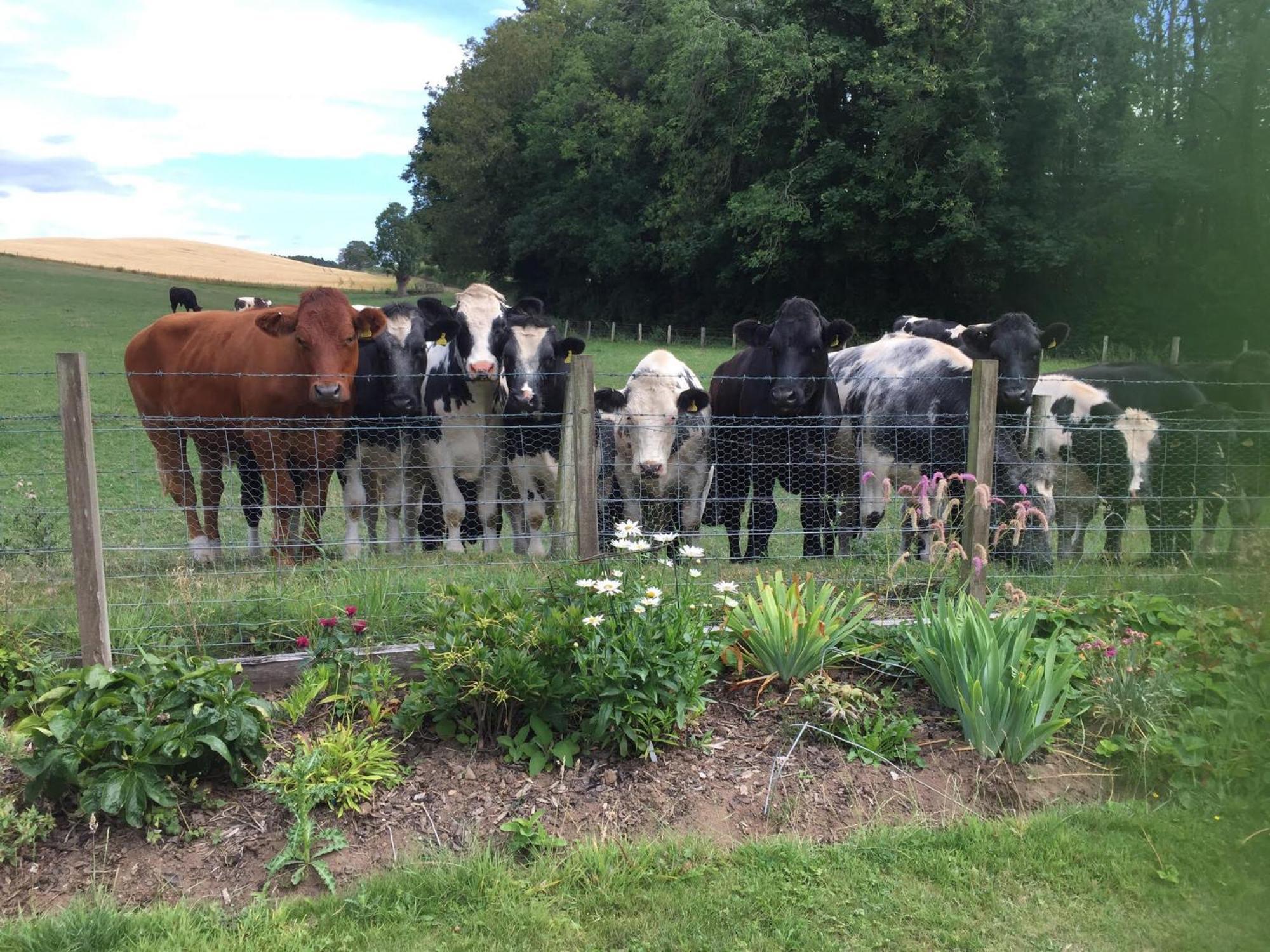 エアー Retreat At The Knowe Auchincruive Estate Bed & Breakfast エクステリア 写真