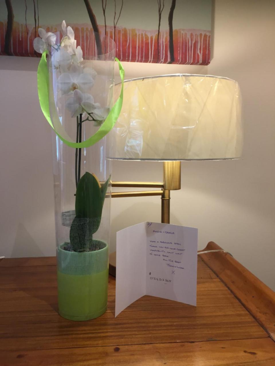 エアー Retreat At The Knowe Auchincruive Estate Bed & Breakfast エクステリア 写真