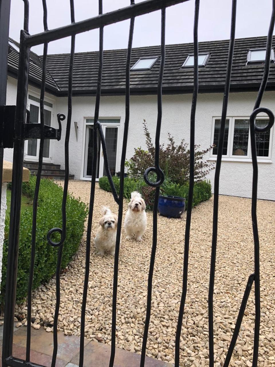 エアー Retreat At The Knowe Auchincruive Estate Bed & Breakfast エクステリア 写真