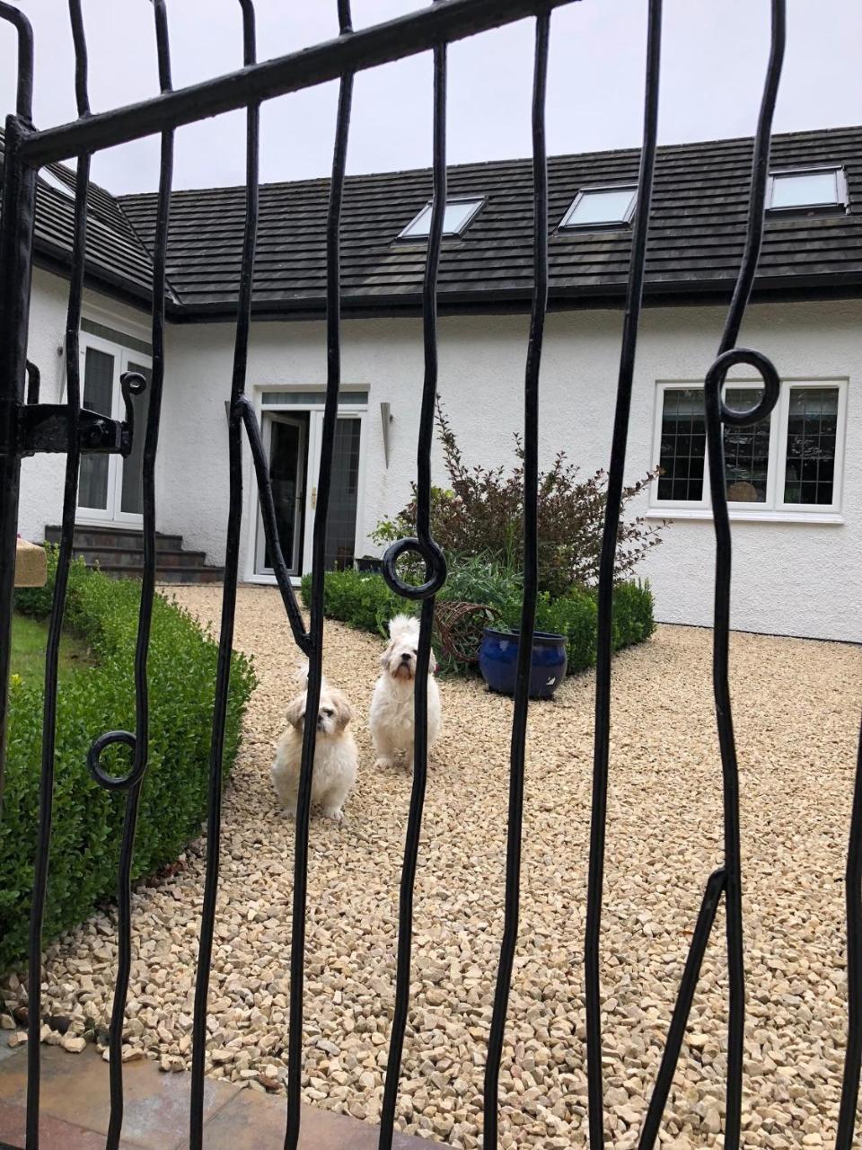 エアー Retreat At The Knowe Auchincruive Estate Bed & Breakfast エクステリア 写真