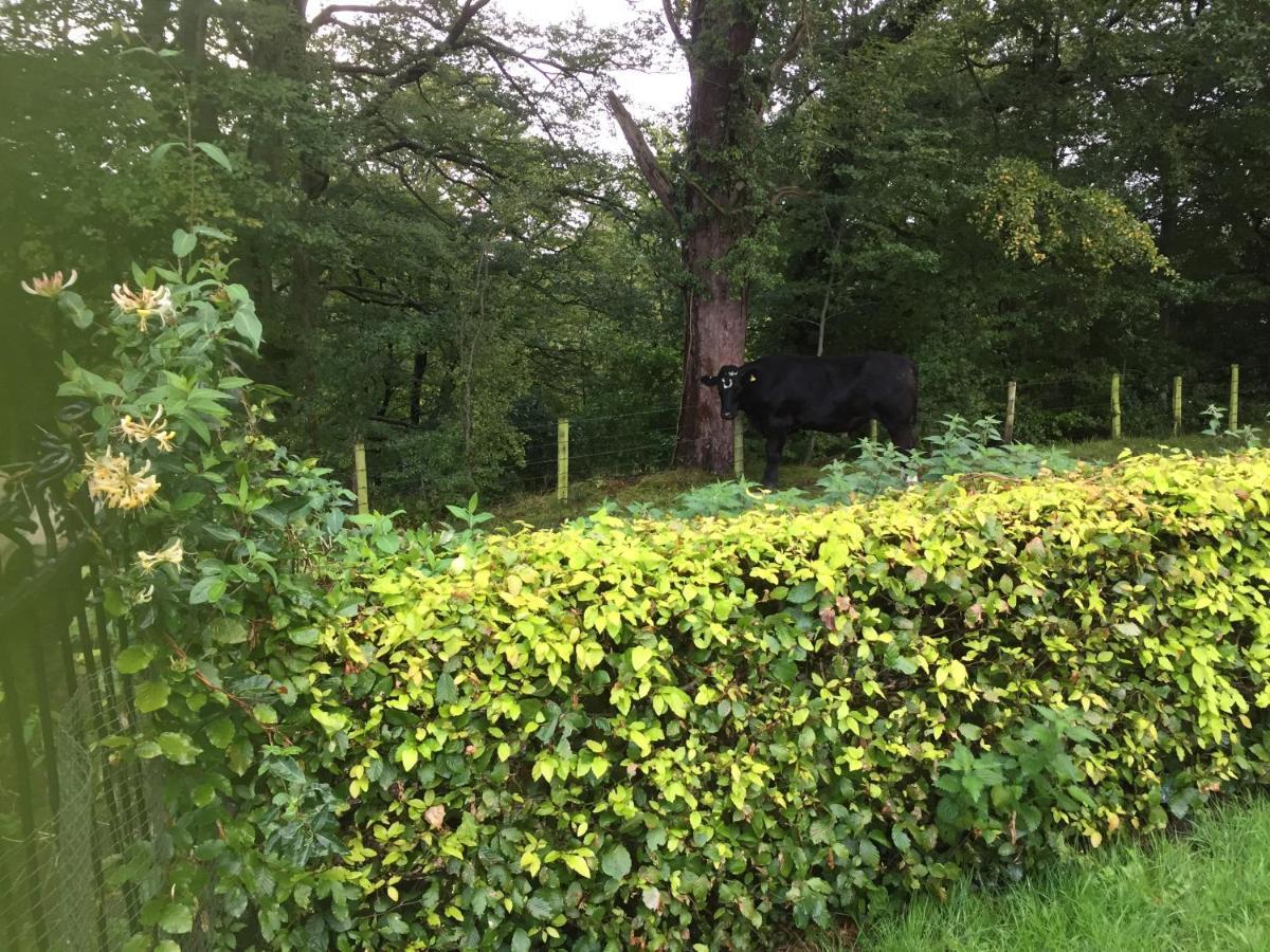 エアー Retreat At The Knowe Auchincruive Estate Bed & Breakfast エクステリア 写真