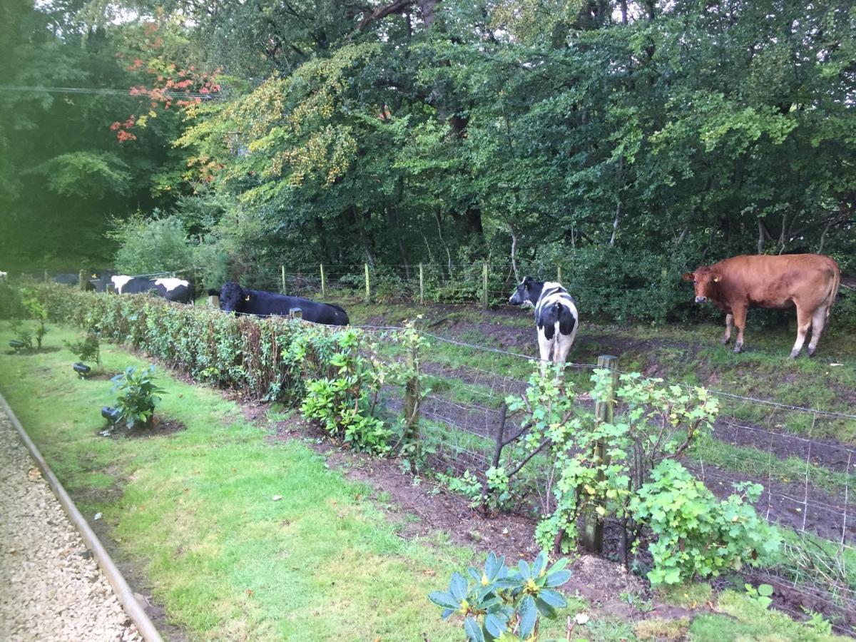 エアー Retreat At The Knowe Auchincruive Estate Bed & Breakfast エクステリア 写真